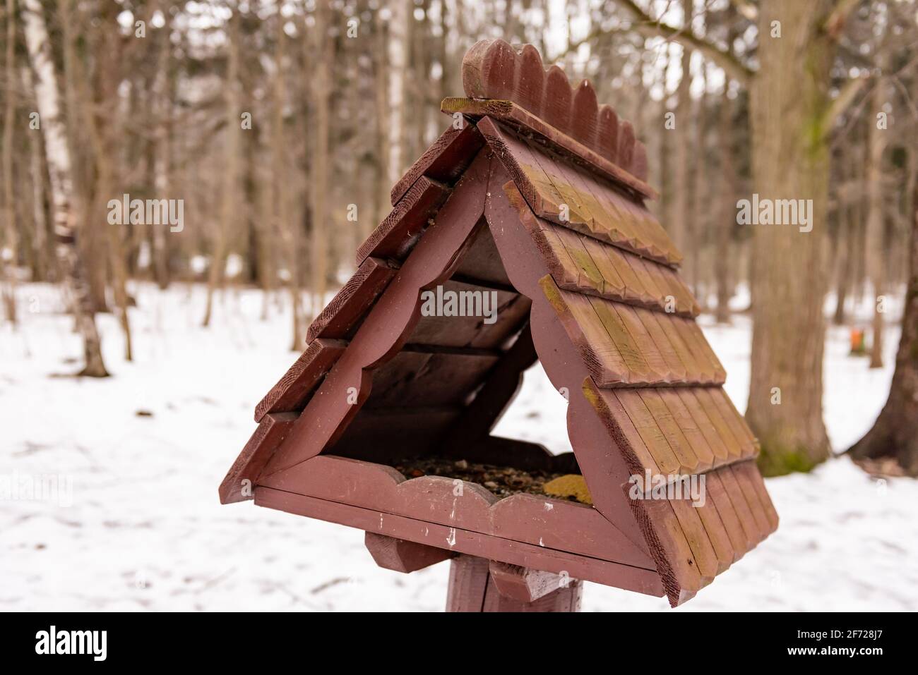 Bird feeder in the park. Bird feeder with wooden roof. Stock Photo