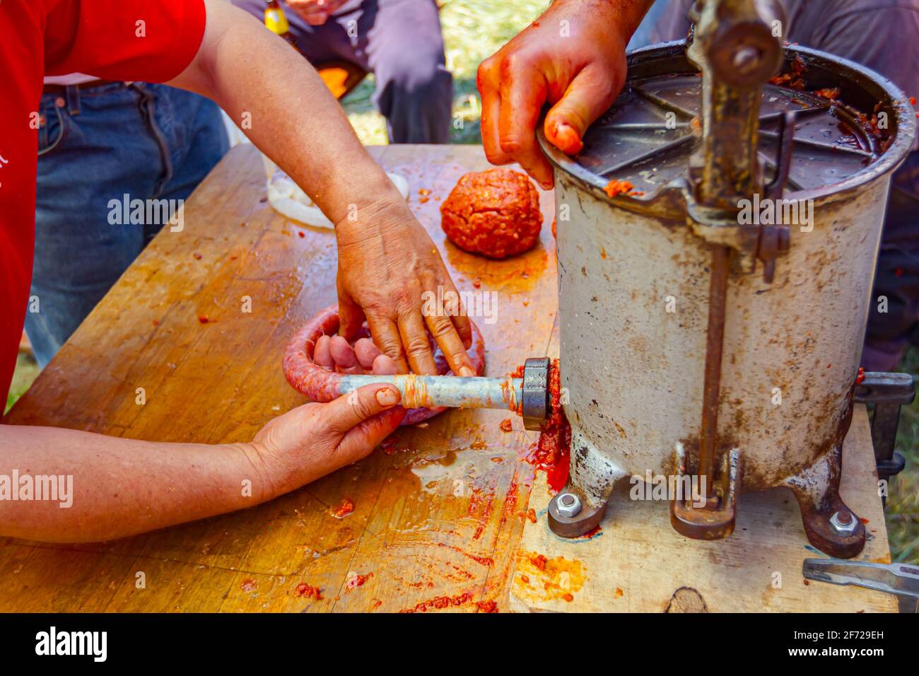 Fill up pig intestines to make sausage with machine for handmade