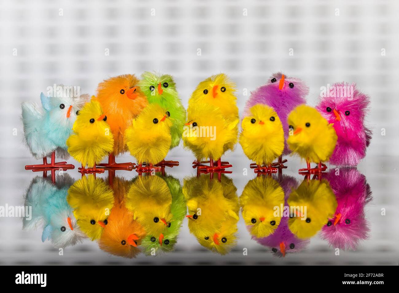 Easter decorations, chicks, reflection in glass Stock Photo