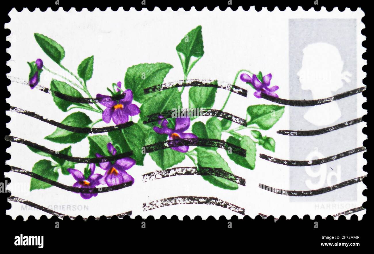 MOSCOW, RUSSIA - FEBRUARY 28, 2021: Postage stamp printed in United Kingdom shows Dog Violet (Viola Riviniana), Wild Flowers serie, circa 1967 Stock Photo