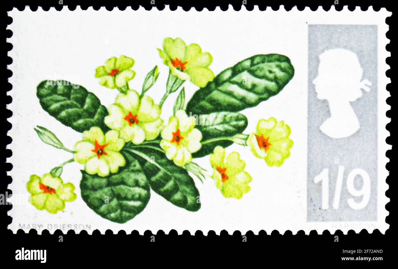 MOSCOW, RUSSIA - FEBRUARY 28, 2021: Postage stamp printed in United Kingdom shows Primrose (Primula vulgaris), Wild Flower serie, circa 1967 Stock Photo