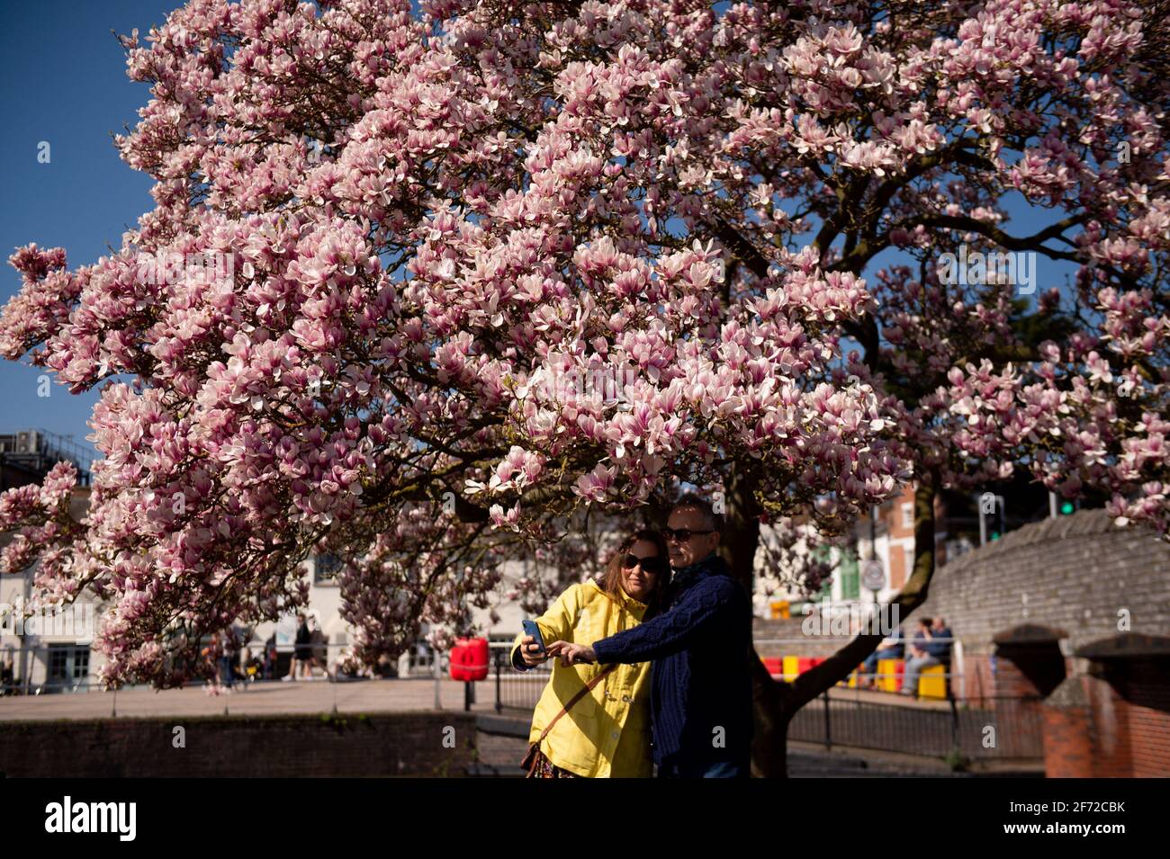 Couple underneath tree hi-res stock photography and images - Alamy
