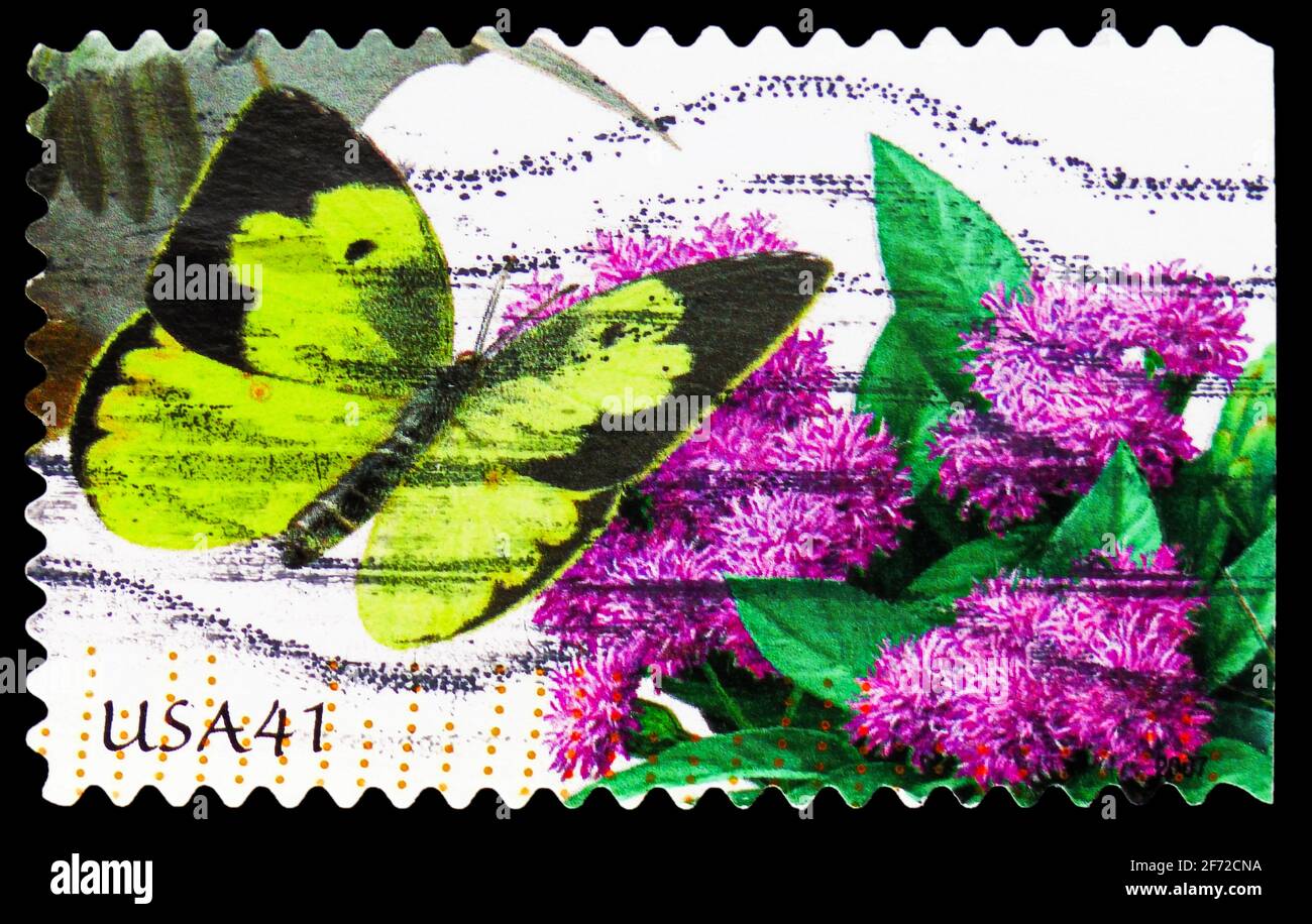MOSCOW, RUSSIA - JANUARY 19, 2021: Postage stamp printed in United States shows Clouded Yellow (Colias croceus), Vervain (Verbena sp.), serie, circa 2 Stock Photo