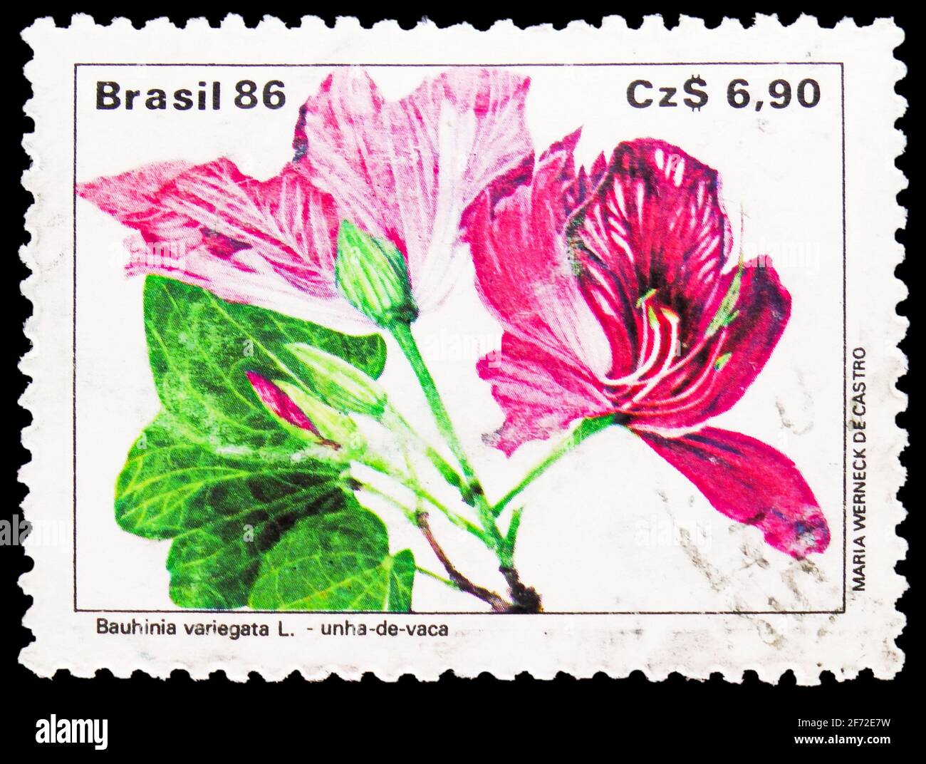 MOSCOW, RUSSIA - JANUARY 20, 2021: Postage stamp printed in Brazil shows Bauhinia variegata, Flora serie, circa 1986 Stock Photo