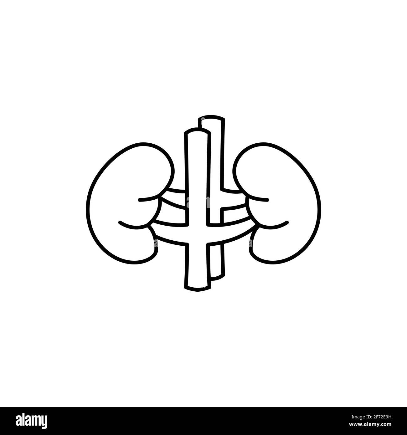 Kidneys human Black and White Stock Photos & Images - Alamy