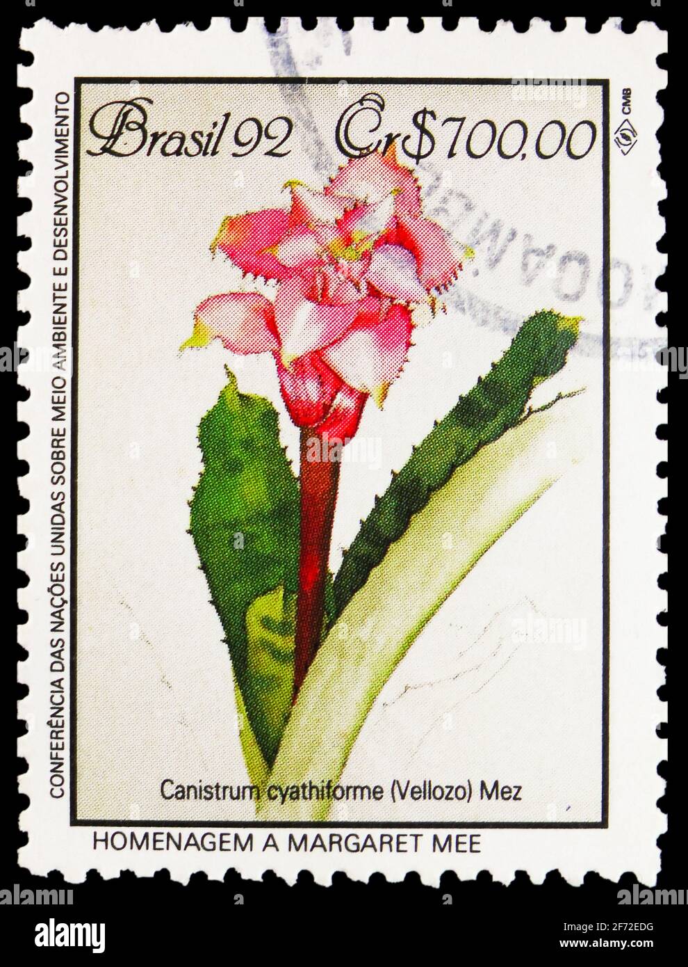 MOSCOW, RUSSIA - JANUARY 20, 2021: Postage stamp printed in Brazil shows Atlantic forest protection, Canistrum cyathiforme, UNCED Conference for Envir Stock Photo