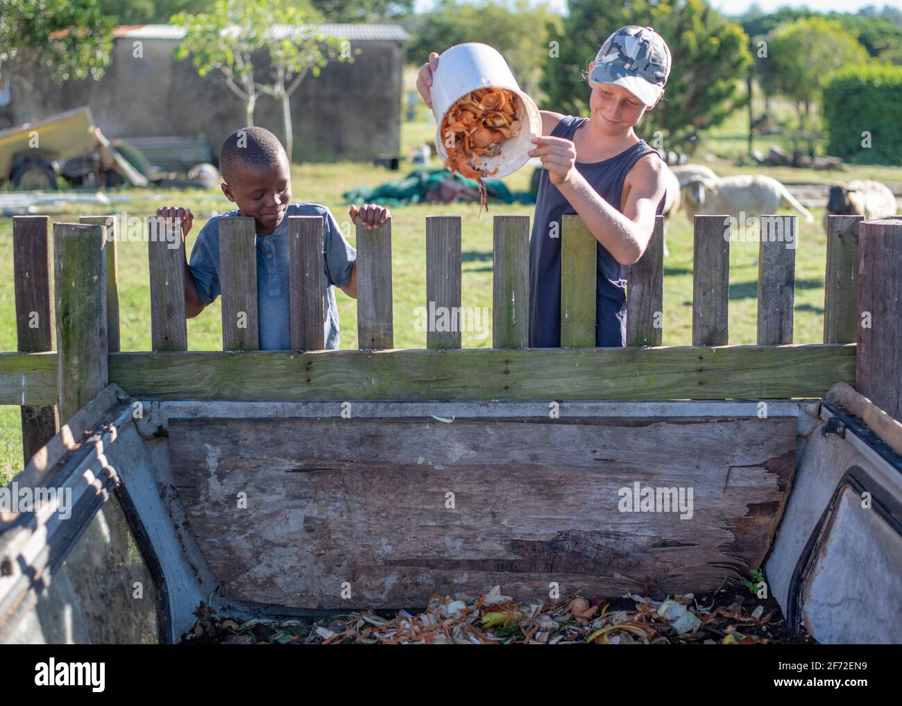 Primary age children emptying food scraps into a compost bin Stock Photo