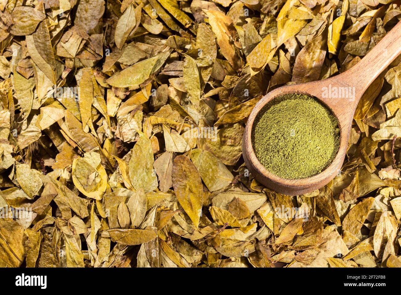 Coca leaves and flour Erythroxylum coca Stock Photo Alamy
