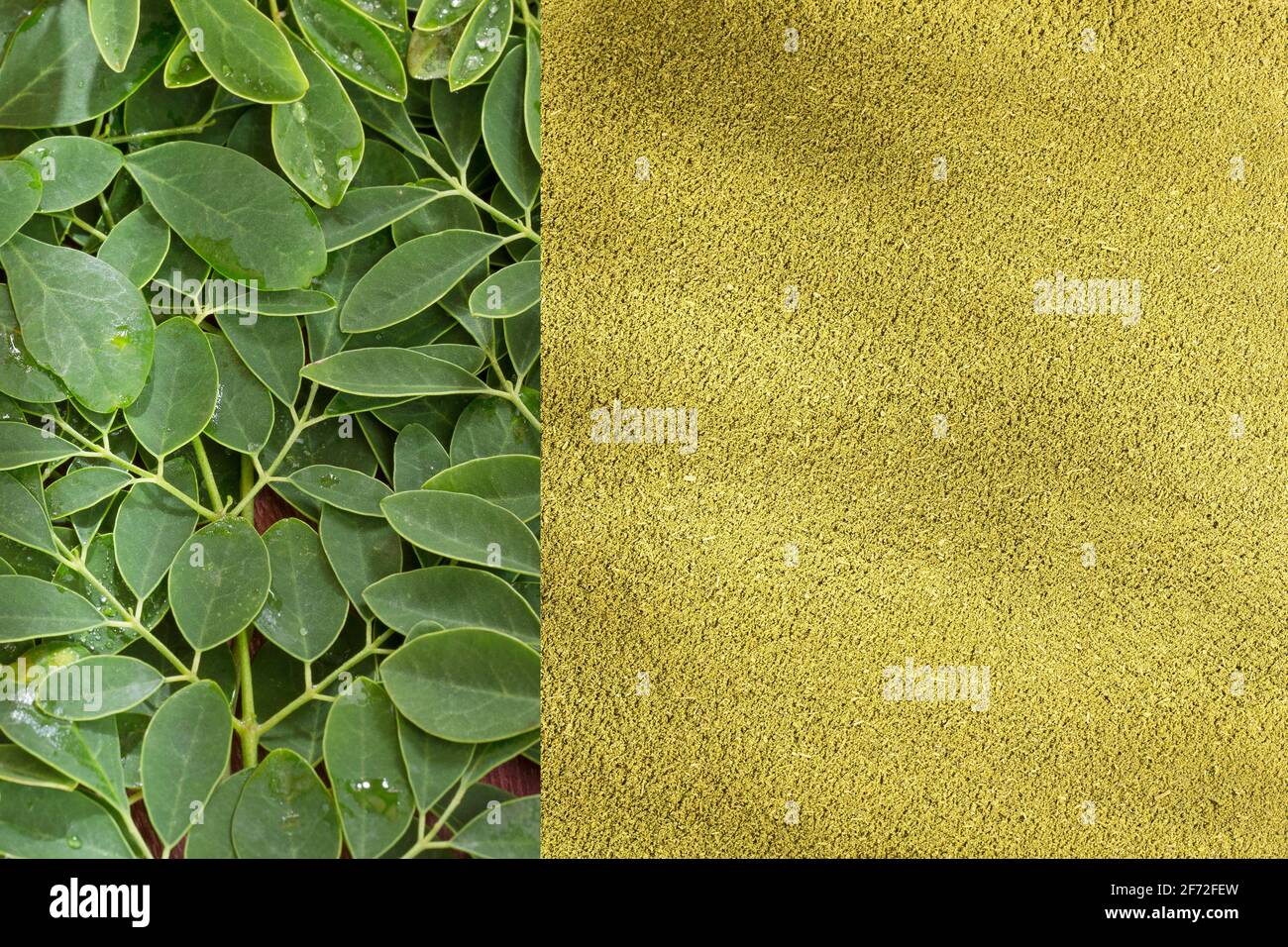 Fresh leaves and moringa powder - Moringa oleifera Stock Photo - Alamy