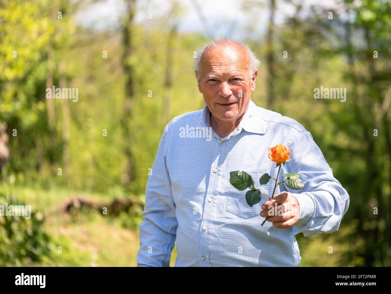 One senior adult man hi-res stock photography and images - Alamy