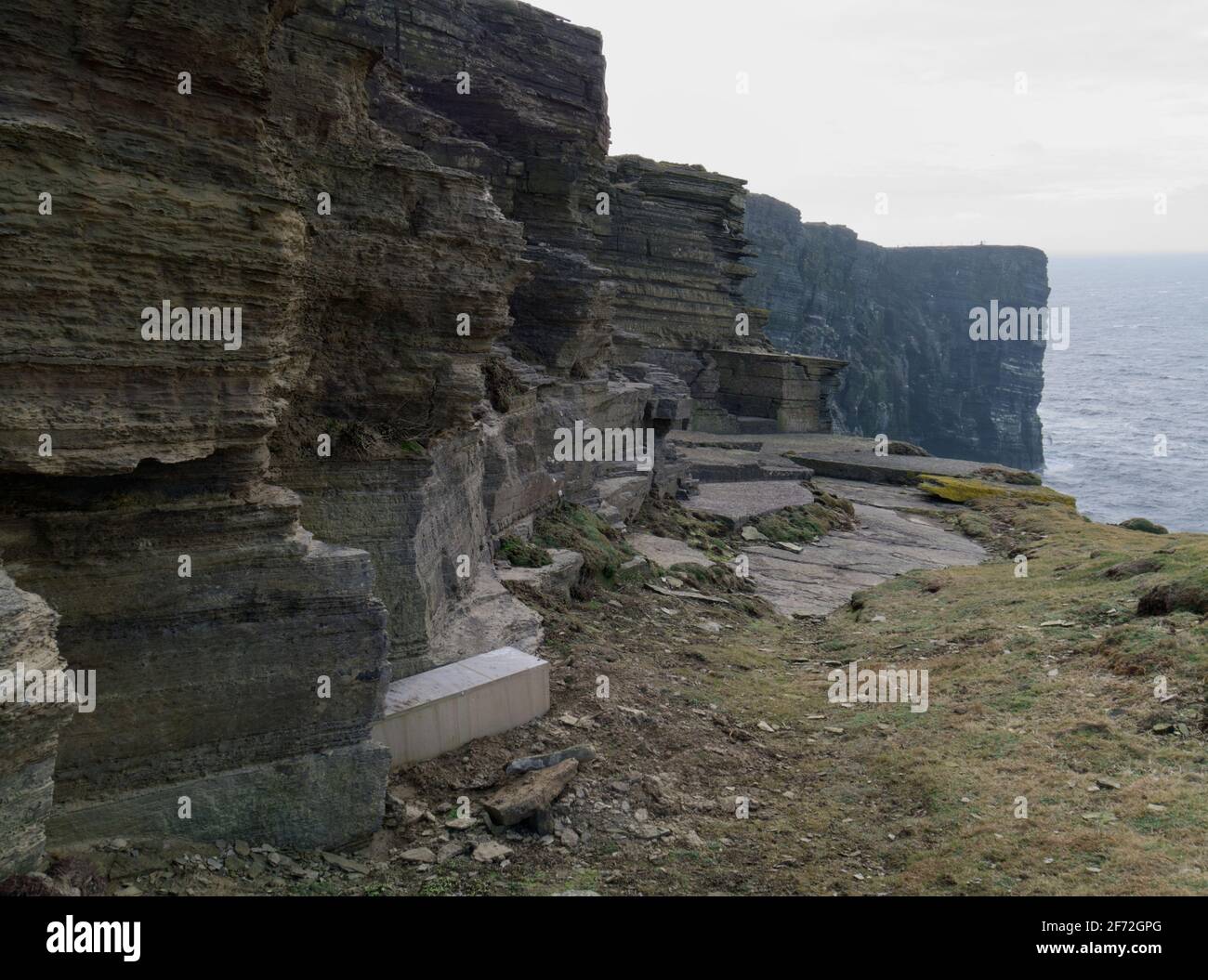 Stoat trap on cliffs at Marwick Head,  Orkney Isles Stock Photo