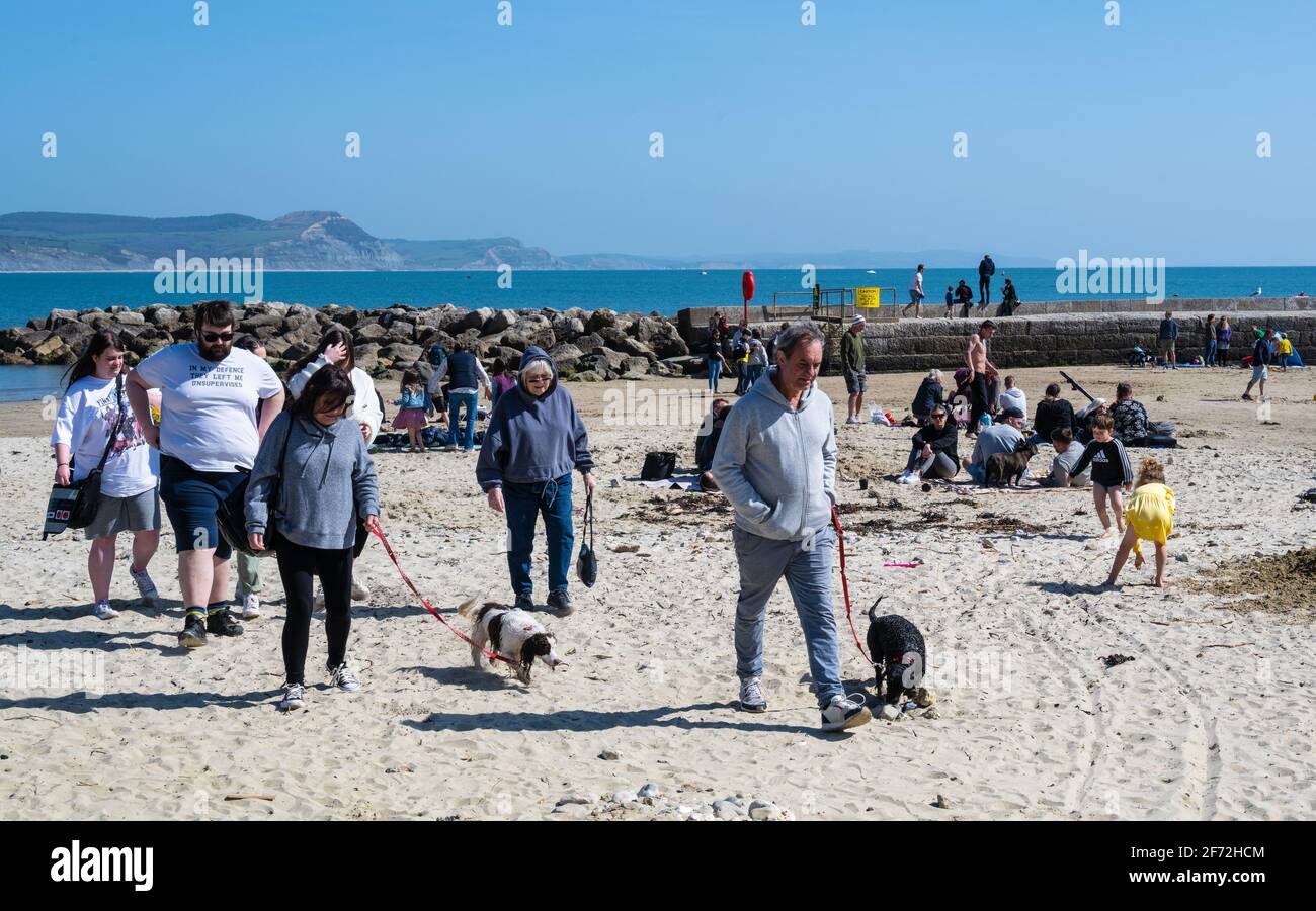 Lyme Regis, Dorset, UK. 4th Apr, 2021. UK Weather. Easter Sunday: Crowds flock to the pictureseque beach at the seaside resort of Lyme Regis on Easter Sunday Bank Holiday to make the best of the balmy sunshine and blue skies before temperatures plunge next week. Credit: Celia McMahon/Alamy Live News Stock Photo