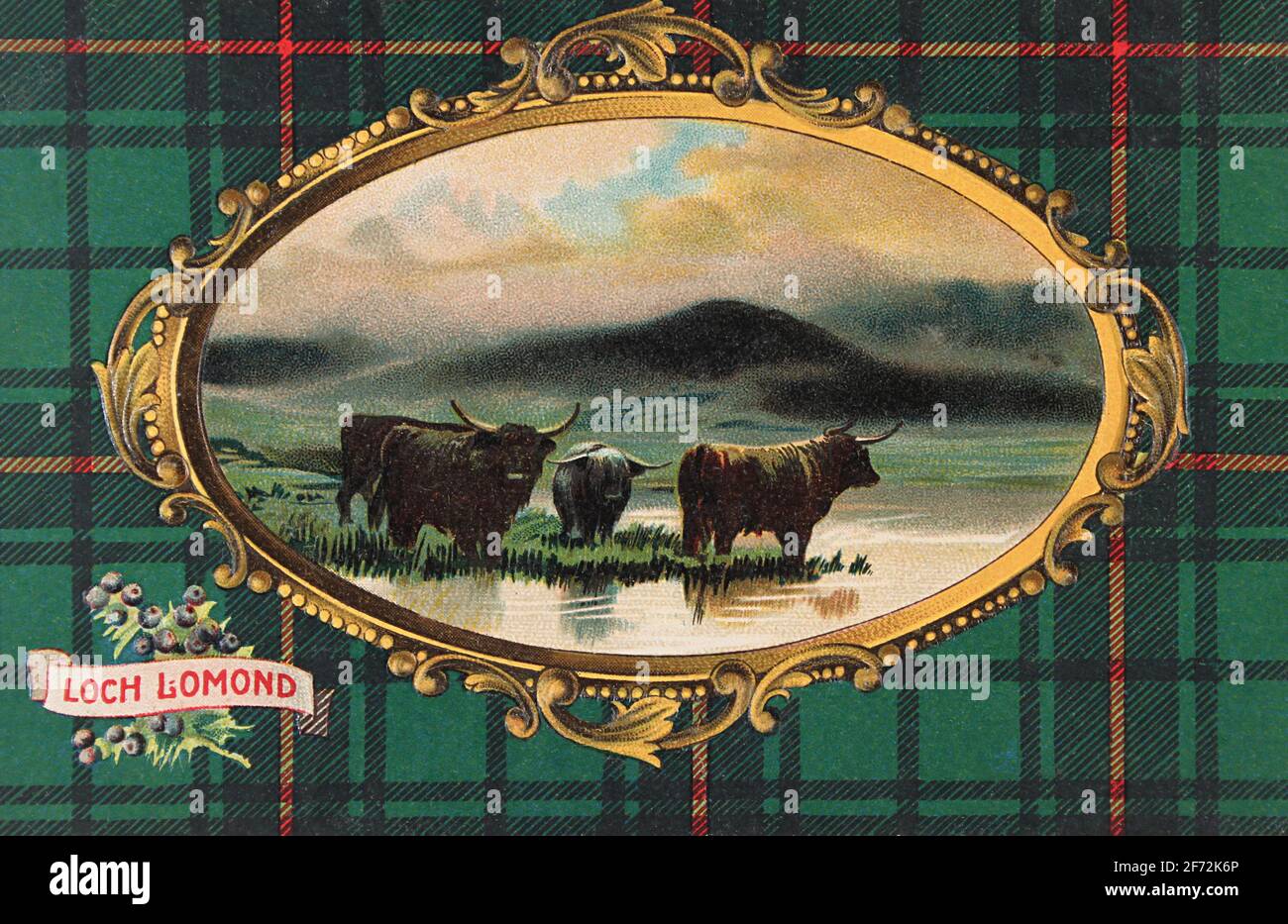 Vintage postcard circa 1910 showing Highland cattle on the shores of Loch Lomond, with a tartan background. Stock Photo