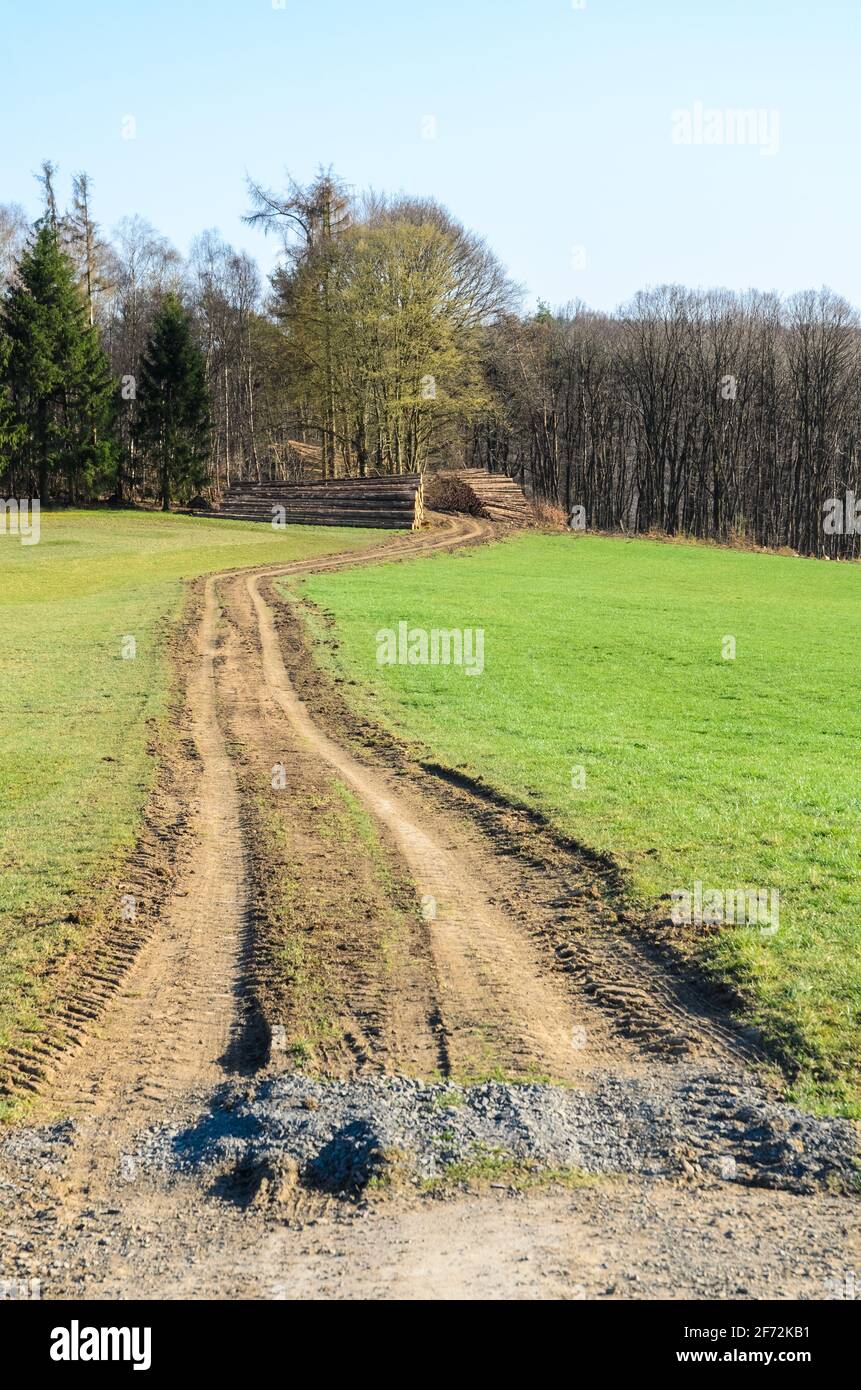Empty trail in the forest hi-res stock photography and images - Alamy