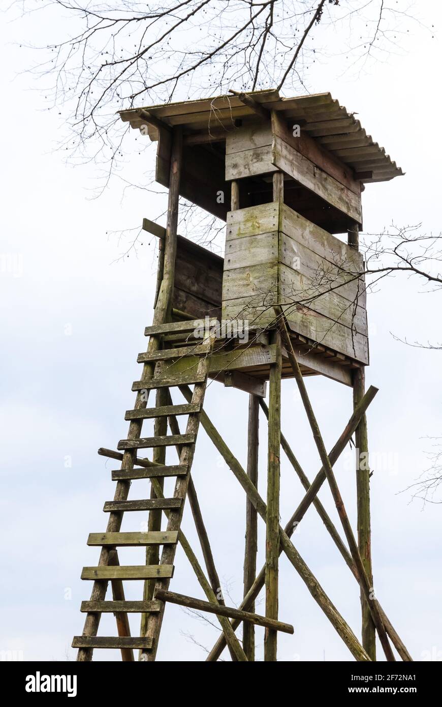 Wooden raised hide with ladder for hunting and observation of wildlife near a forest in Westerwald, Rheinland-Palatinate, Germany, Europe Stock Photo