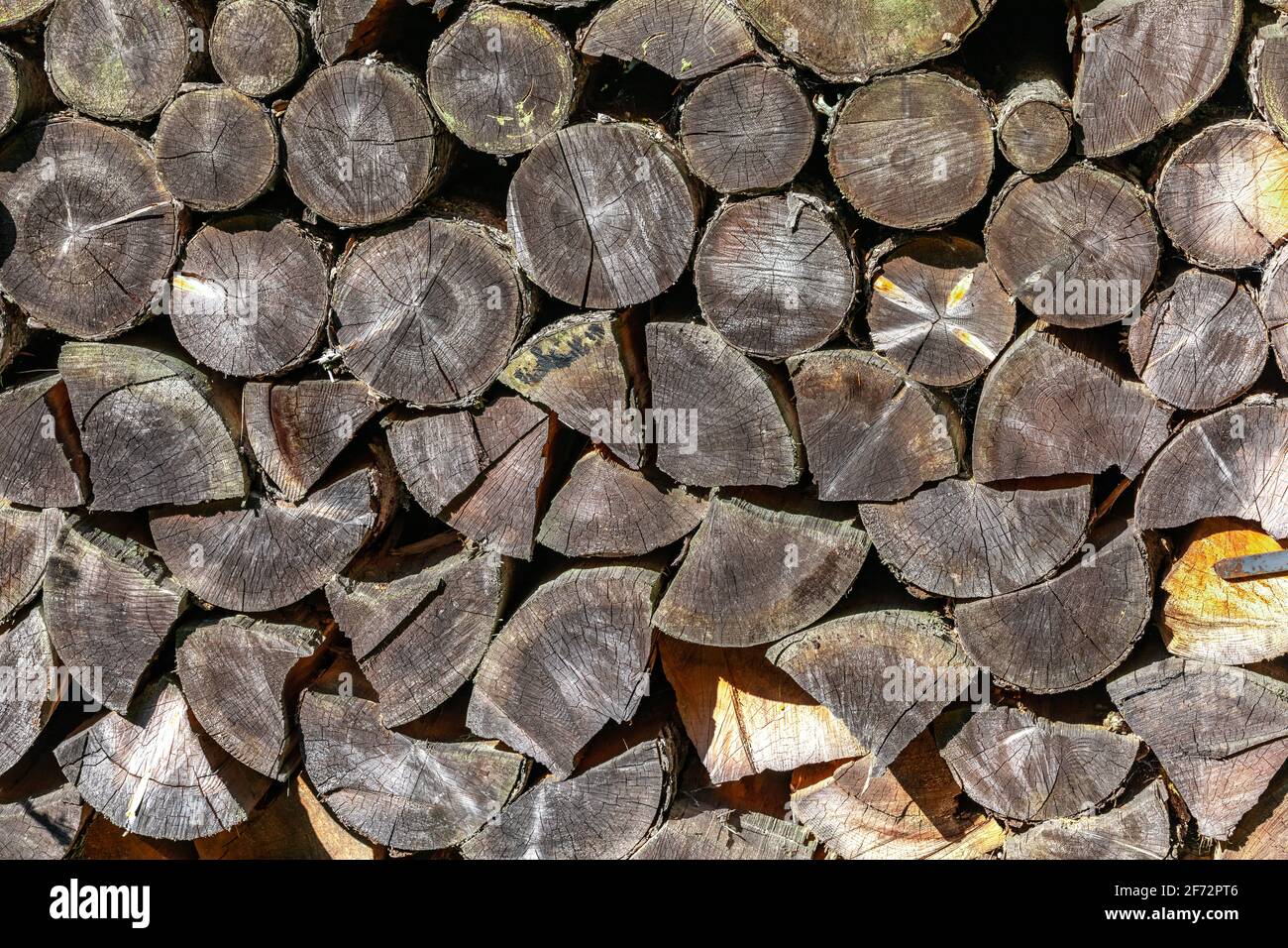 Stacked cut wood in Austria Stock Photo - Alamy