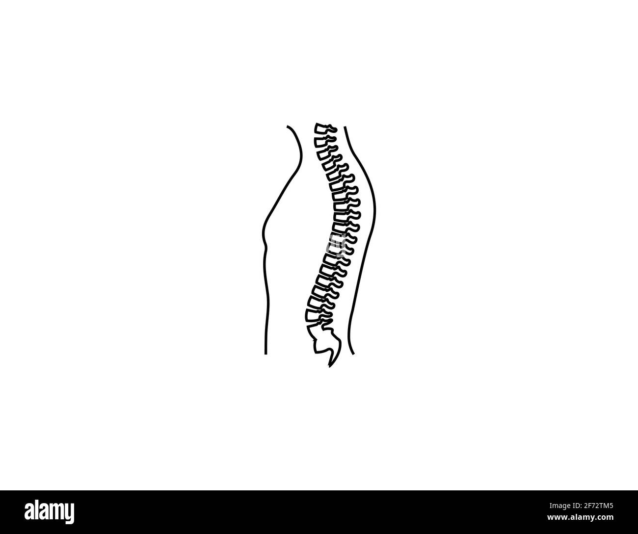 Human spine, anatomy, backbone icon. Vector illustration. Stock Vector