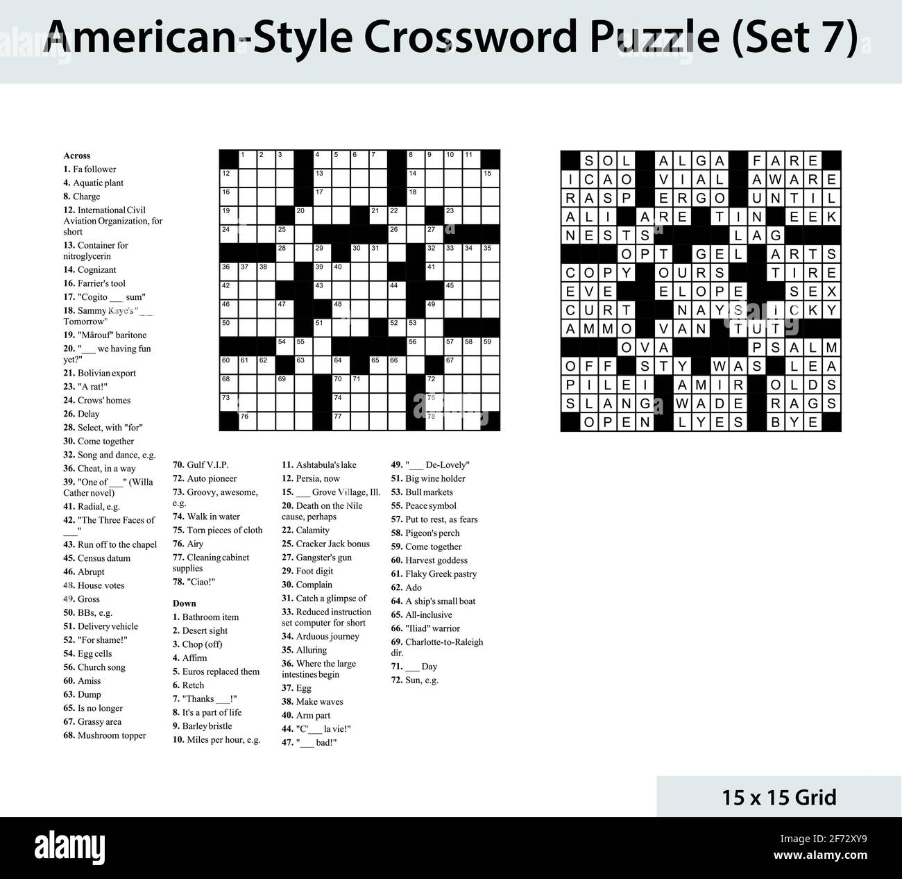 American style crossword puzzle with a 15 x 15 grid. Includes blank crossword grid, clues, and solution. Stock Vector