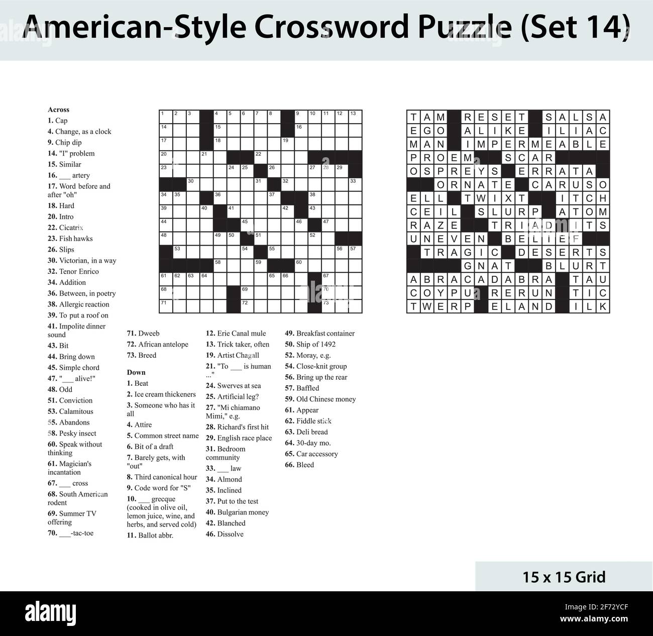 American style crossword puzzle with a 15 x 15 grid. Includes blank crossword grid, clues, and solution. Stock Vector