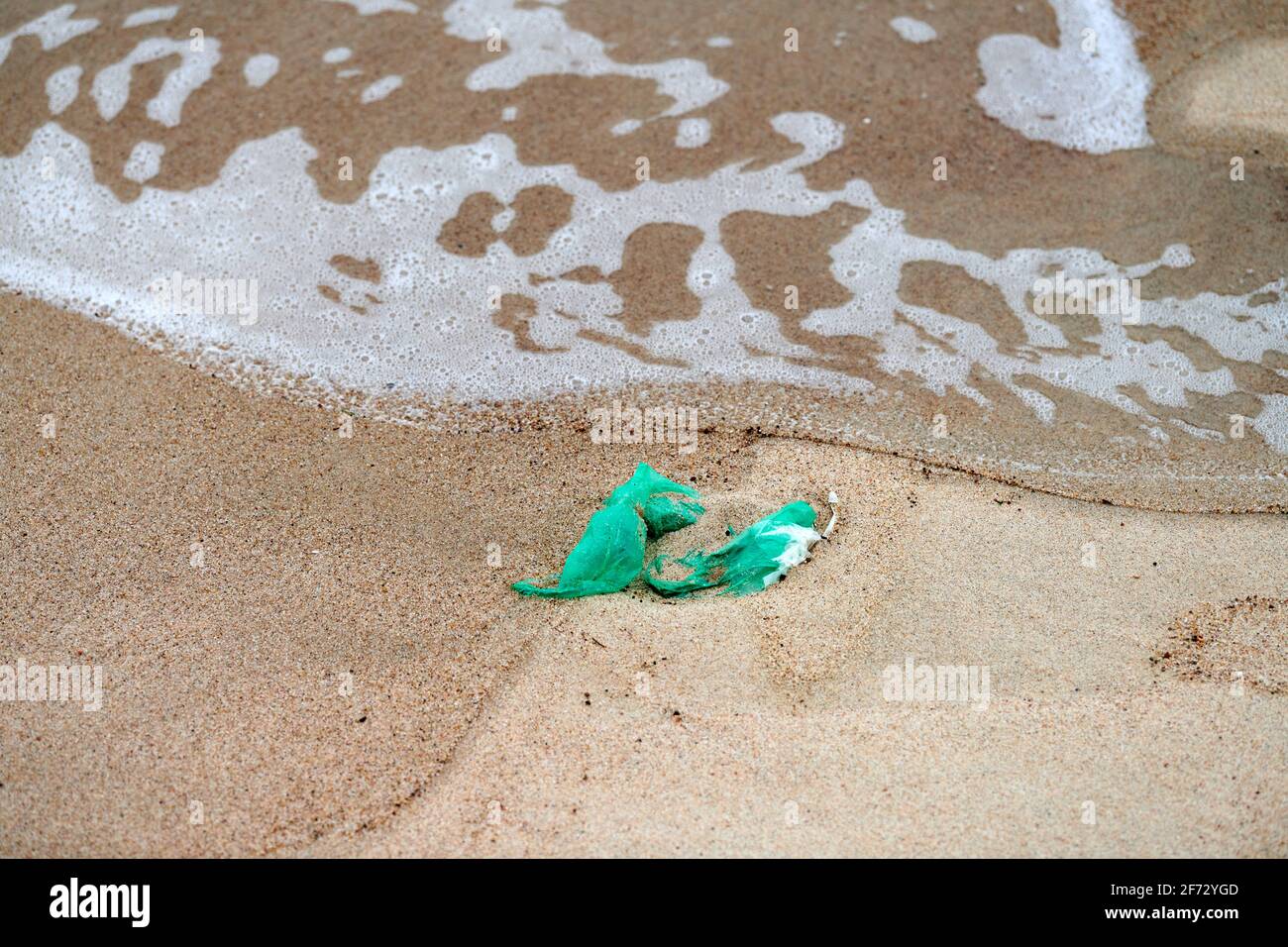 Empty used dirty green plastic bag on sea sandy shore. Spilled garbage