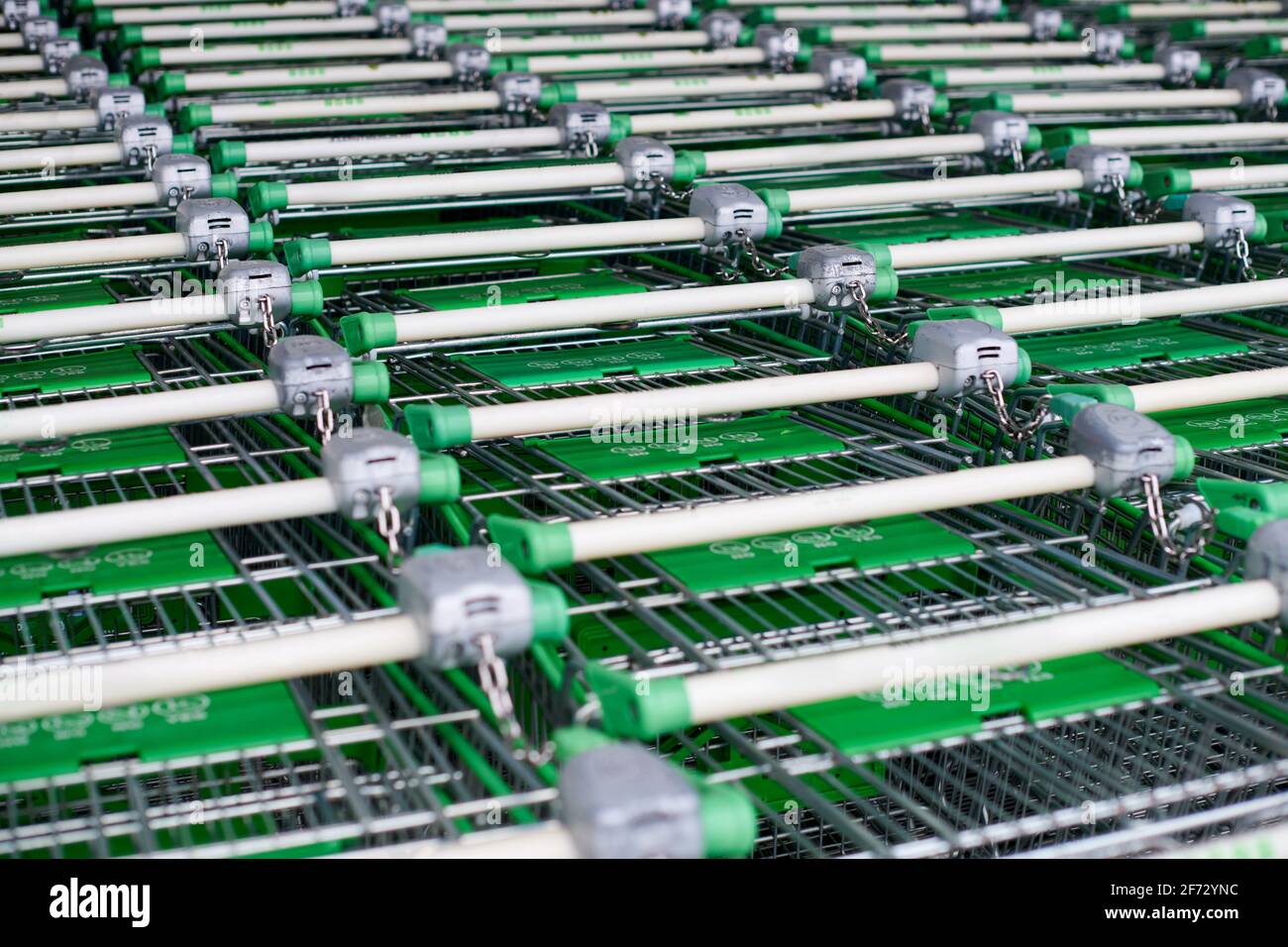 Many empty green shopping carts in row. Row of parked trolleys in