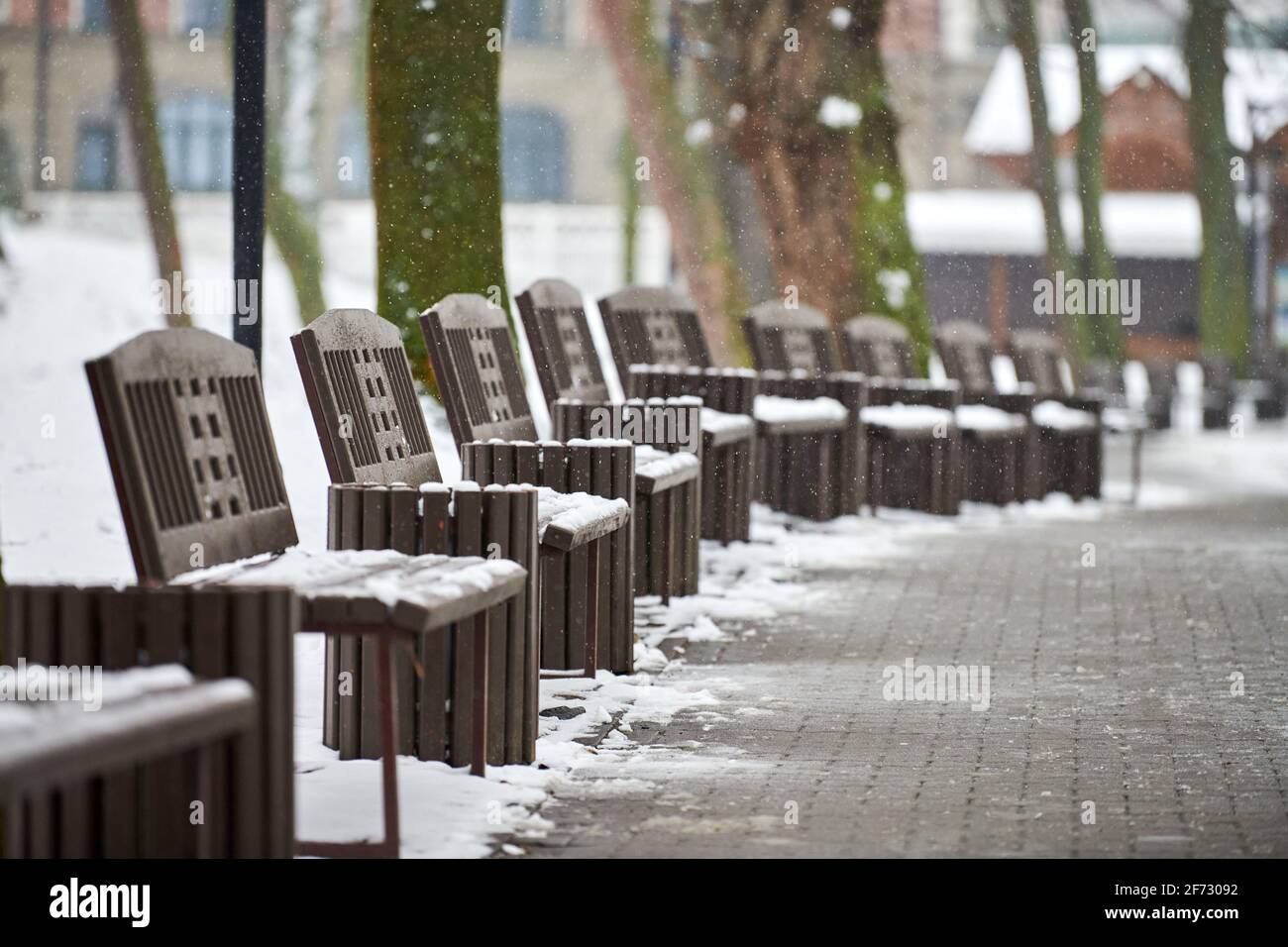 Benches covered with snow among frosty winter trees in park. Winter ...