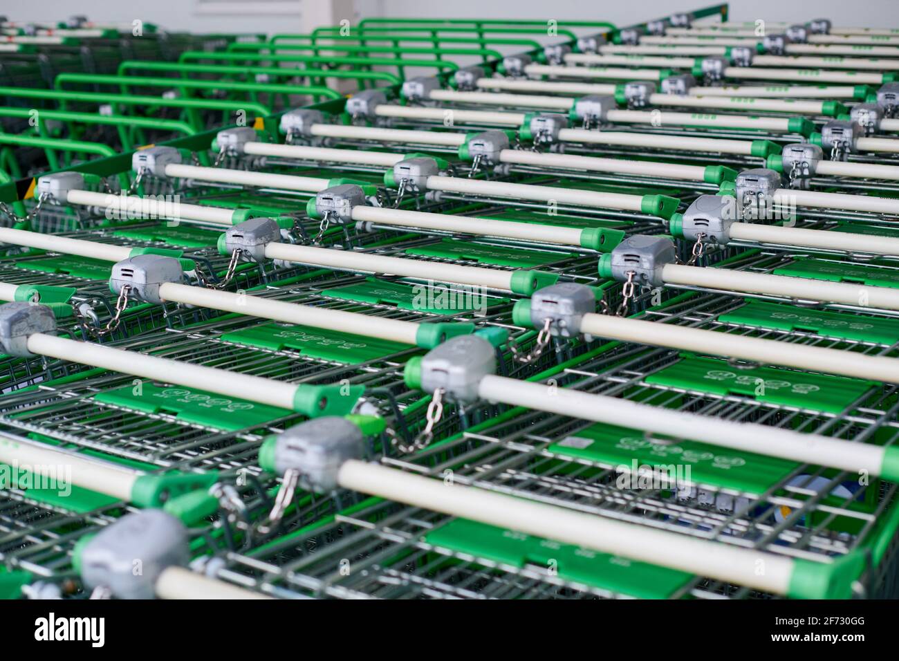 Many empty green shopping carts in row. Row of parked trolleys in