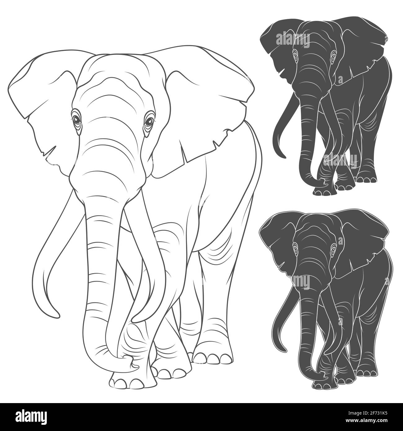 Set of vector illustrations with the elephant. Isolated objects on a white background. Stock Vector