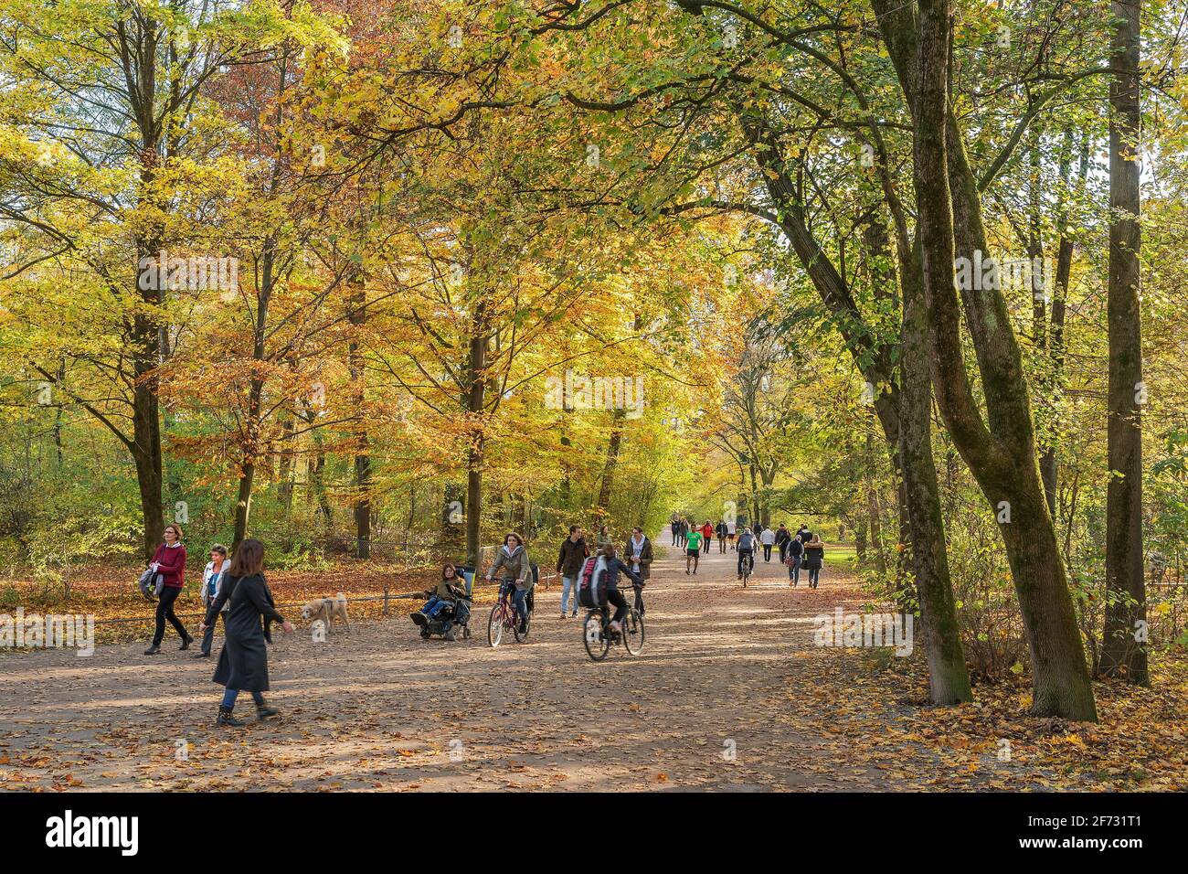 Autumn atmosphere with walkers and cyclists in the English Garden, Schwabing, Munich, Upper Bavaria, Bavaria, Germany Stock Photo