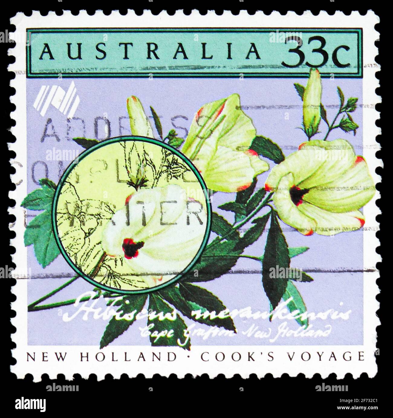 MOSCOW, RUSSIA JANUARY 12, 2021 Postage stamp printed in Australia shows Hibiscus meraukensis