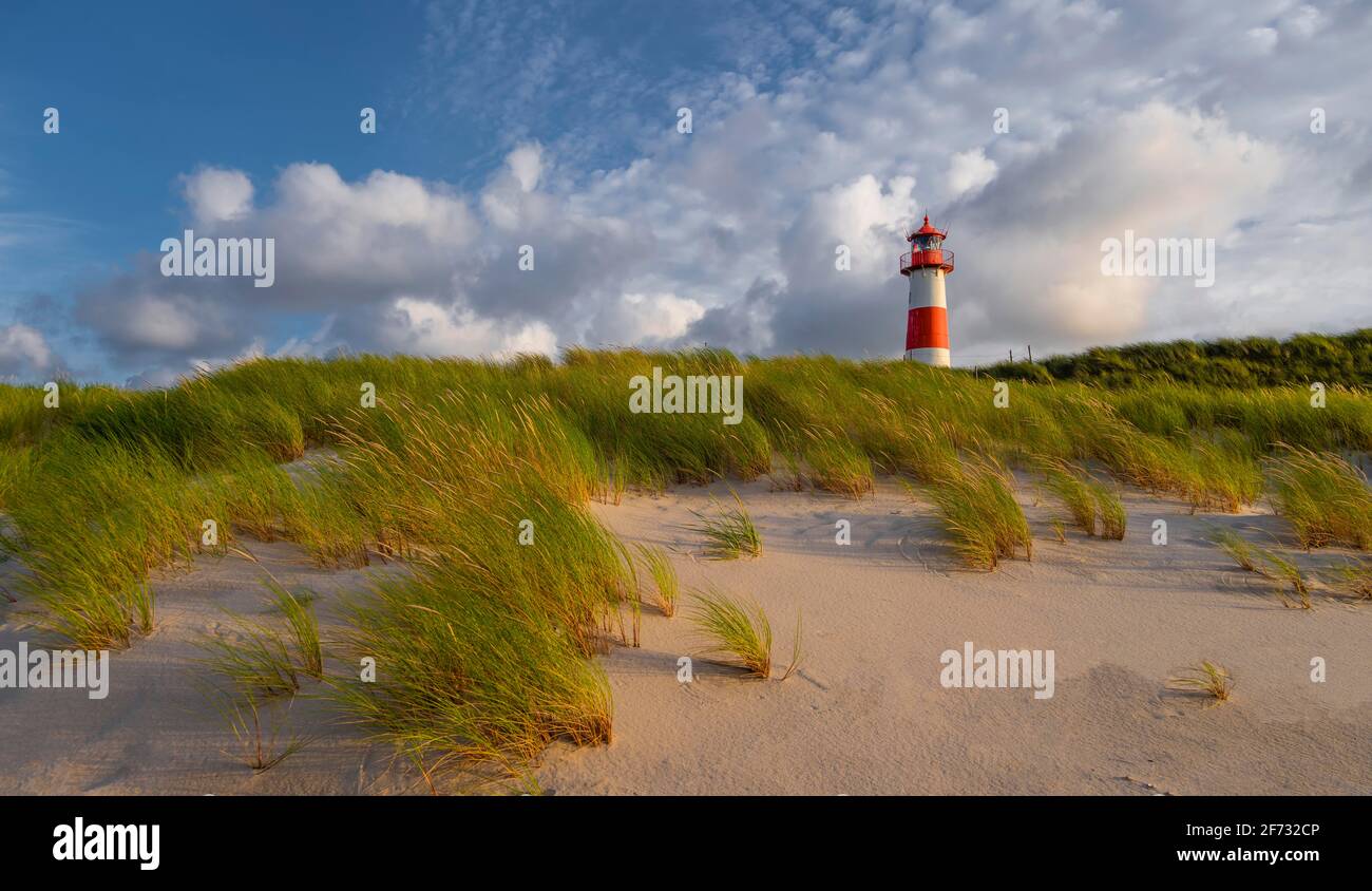 Evening light, red-white lighthouse List-East in the dunes, cloudy sky, elbow, Sylt, North Frisian Island, North Sea, North Frisia Stock Photo