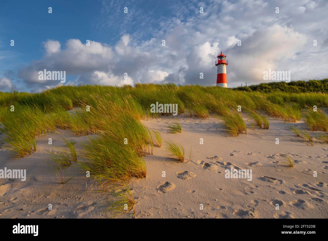 Evening light, red-white lighthouse List-East in the dunes, cloudy sky, elbow, Sylt, North Frisian Island, North Sea, North Frisia Stock Photo
