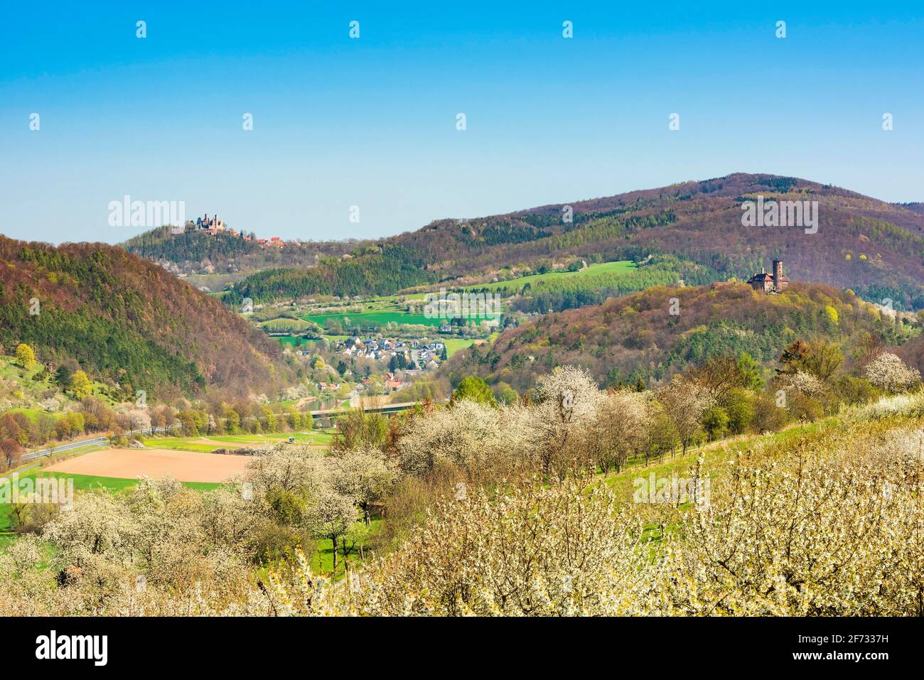 View of the two castles, view into the Werra valley in spring with blossoming cherry trees, in the back Hanstein Castle and Ludwigstein Castle, near Stock Photo