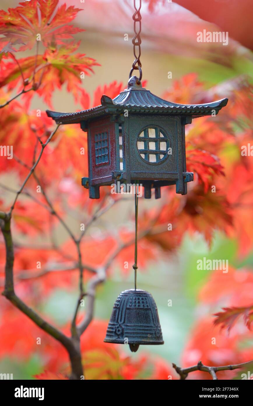 Lantern with bell, in maple tree, Japan Stock Photo