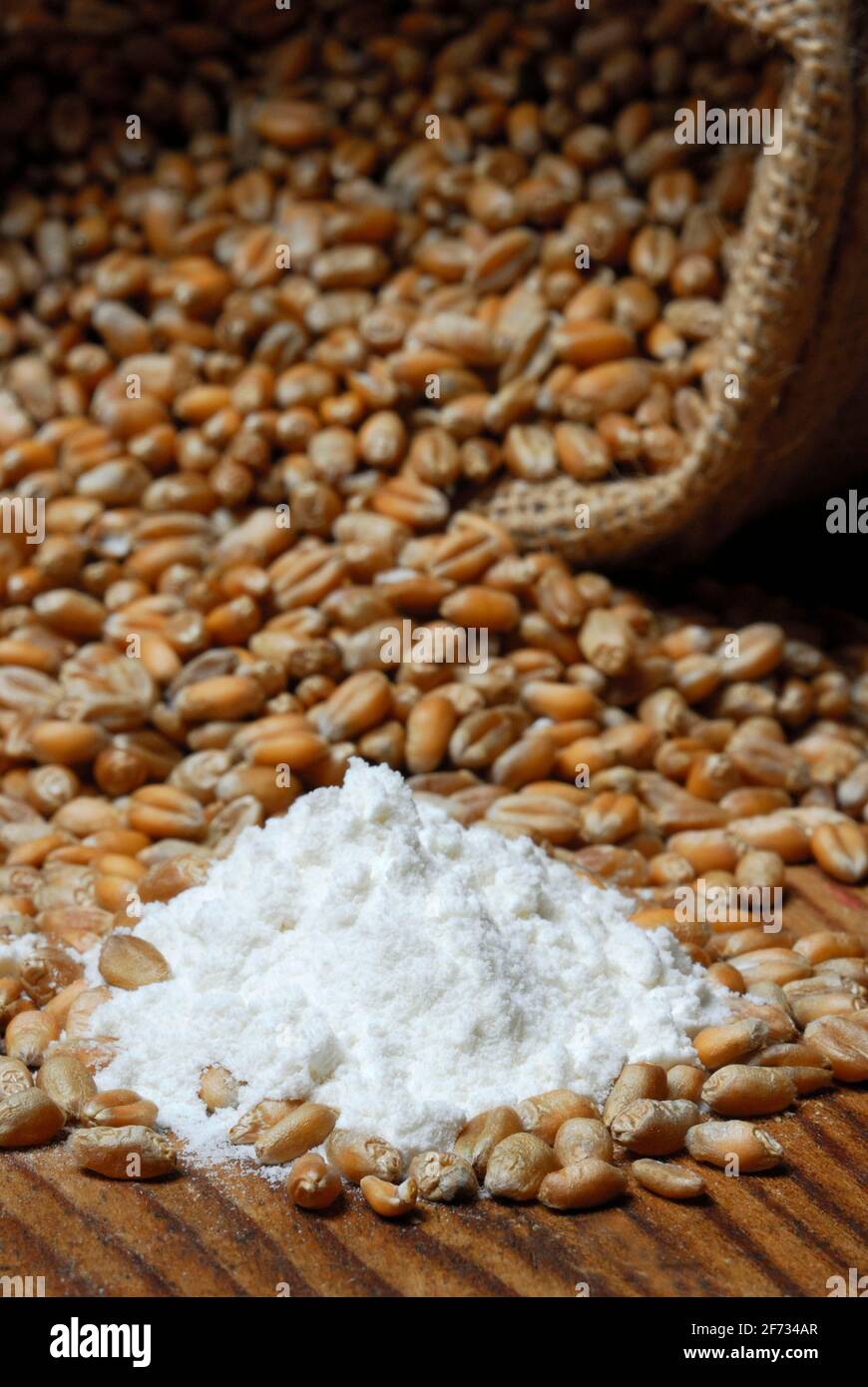 Wheat, Grains, Flour ( Triticum aestivum) , Flour Stock Photo Alamy