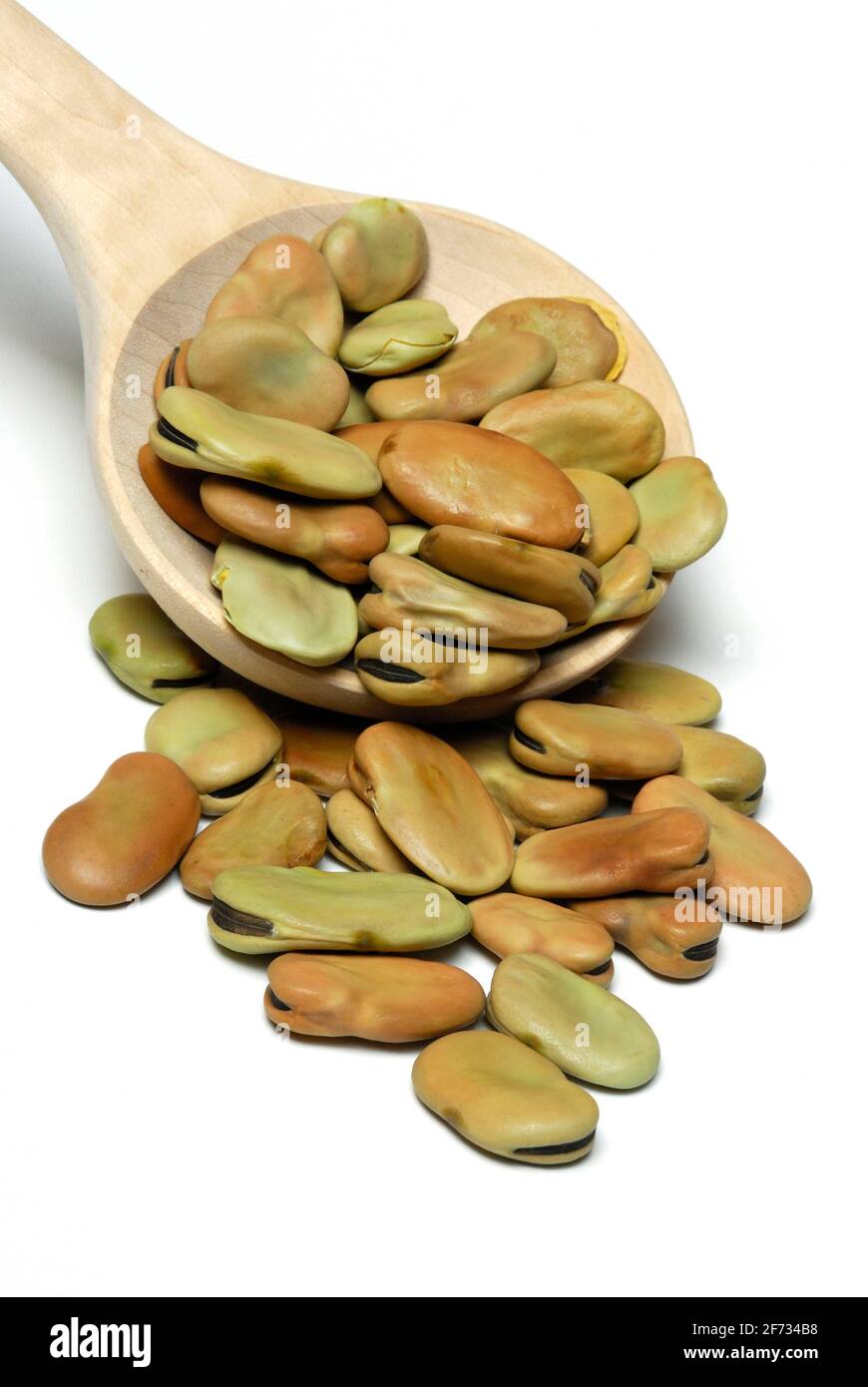 Dried fava beans ( Vicia faba) ,, broad bean, horse bean, broad be an, Stock Photo
