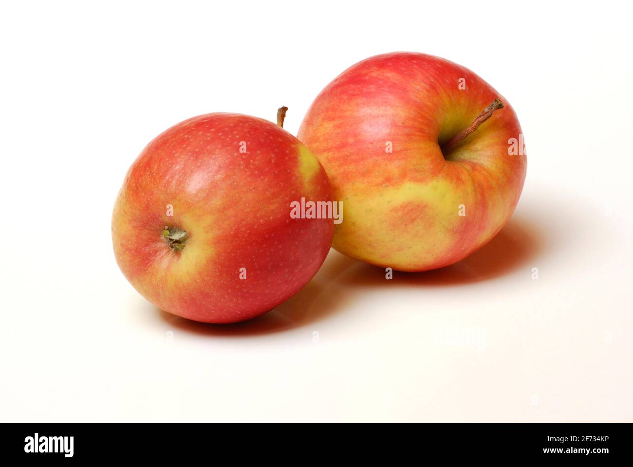 Two apples, apple, Pink Lady variety Stock Photo