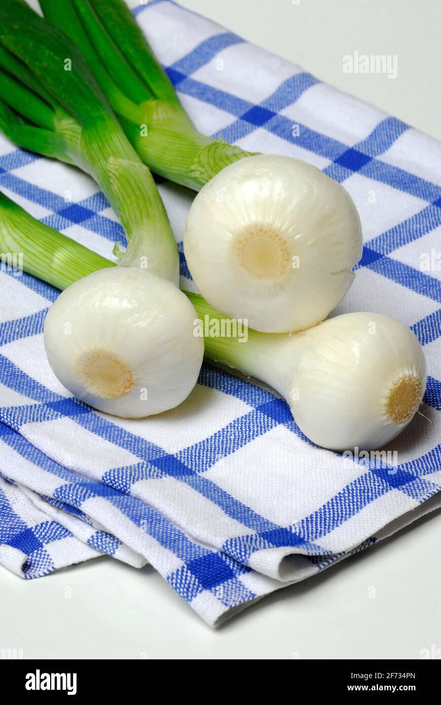 Onion, spring onions, spring onions Stock Photo