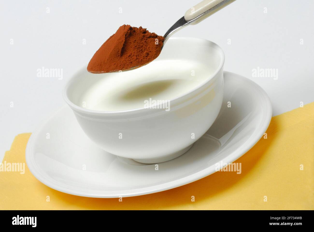 Spoon of cocoa powder is put into cup with milk, cocoa drink, milk, milk products, cocoa Stock Photo