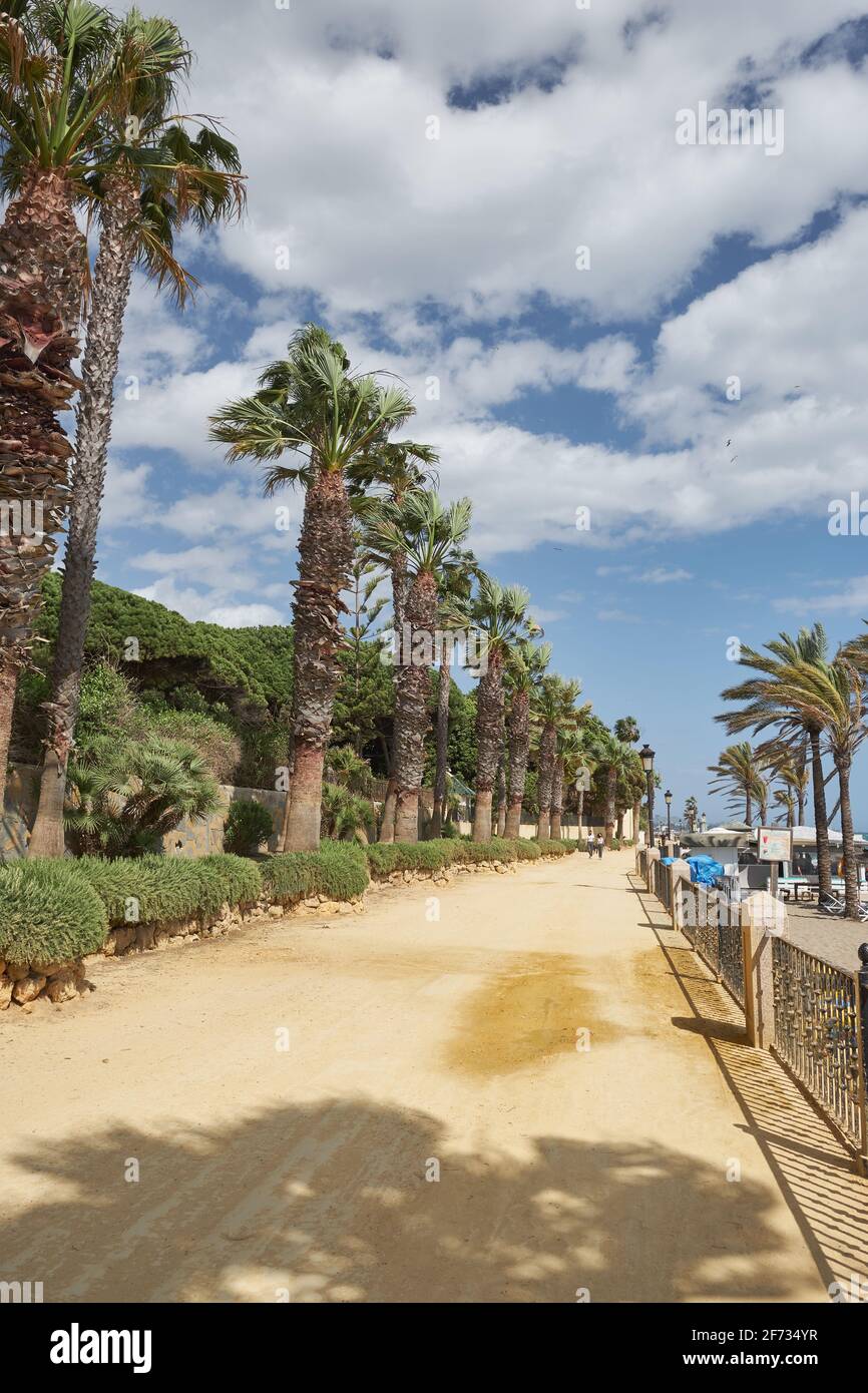 Paseo maritimo, promenade in Marbella, Malaga province, Andalusia, Spain. Stock Photo