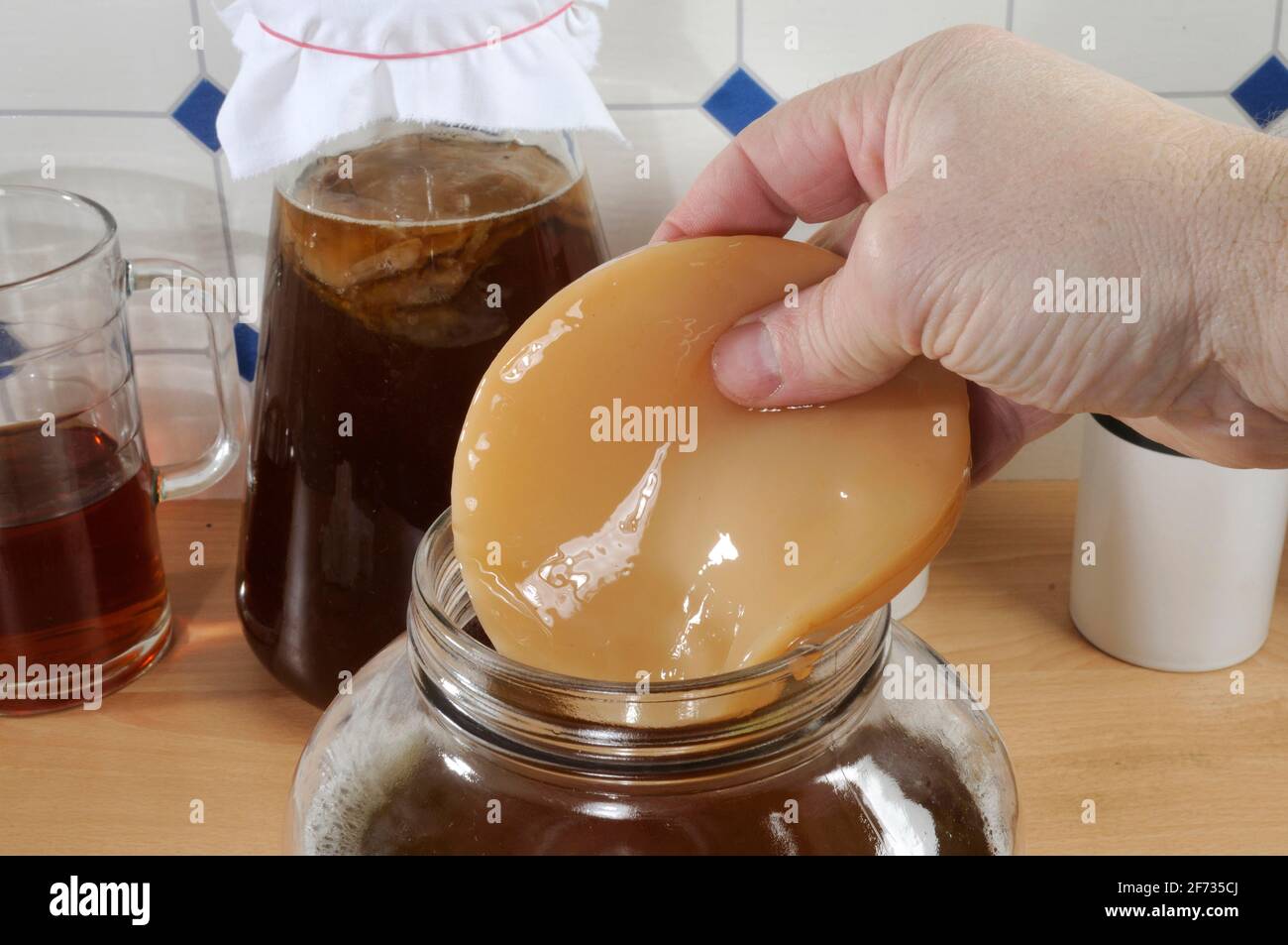 Kombucha, tea mushroom Stock Photo Alamy