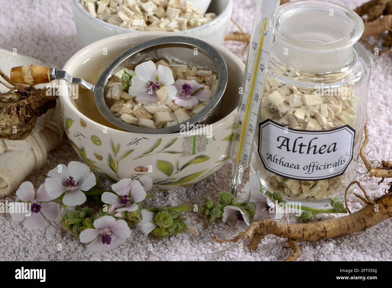 Cup (Althea officinalis) marshmallow root tea, marshmallow, roots