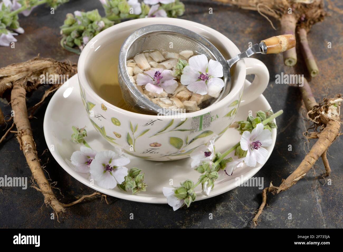Cup (Althea officinalis) marshmallow root tea, marshmallow, roots, marshmallow roots, marshmallow root tea, Ade root, Altee, Alter Thee, Alte Eh Stock Photo