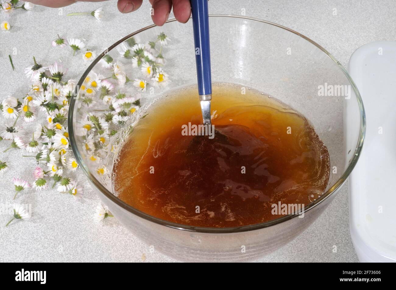 Production of daisy syrup (Bellis perennis), daisy syrup, daisies, daisies, made-to-measure daisies, thousand daisies Stock Photo