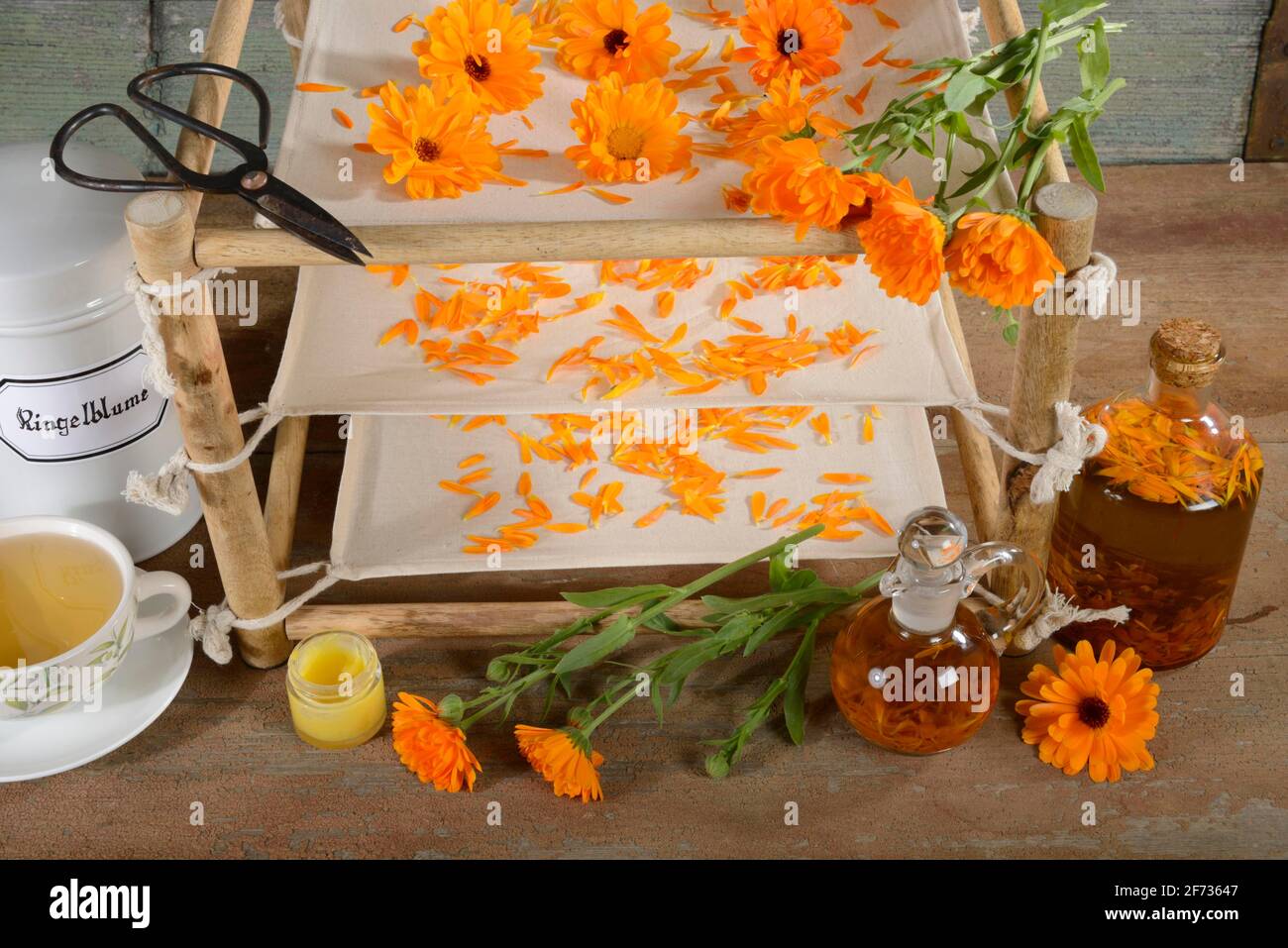 Marigold (Calendula officinalis), flowers prepared for drying, petals