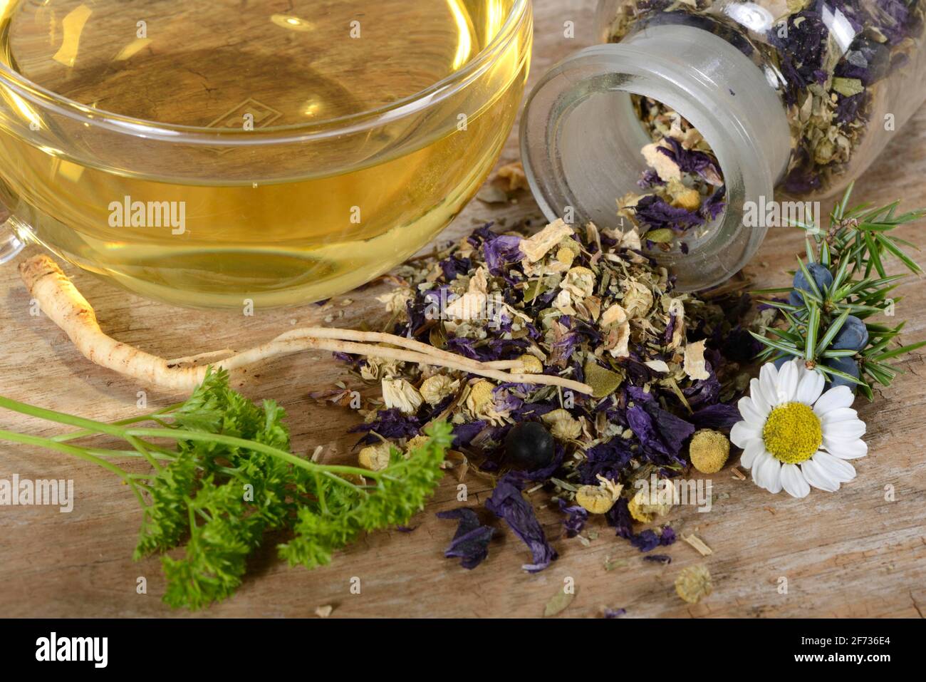 Cup of Prostate tea, willowherb, parsley root, bearberry leaf, german camomile, matricariaÂ chamomilla, smooth rupturewort, blossoms of mallow Stock Photo