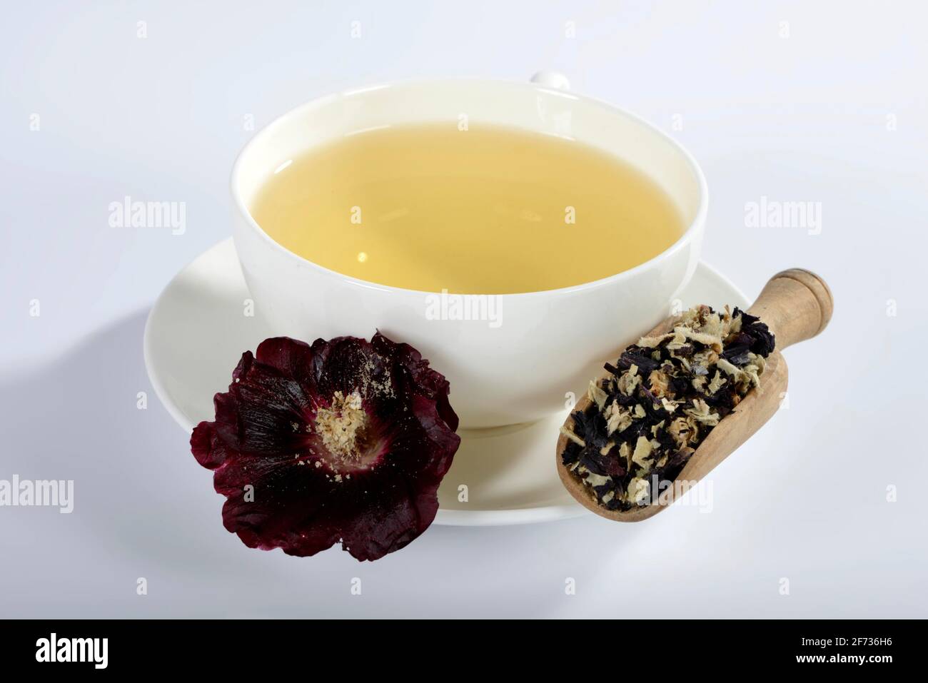 Alcea rosea nigra (Alcea rosea nigra), cup of hollyhock tea Stock Photo