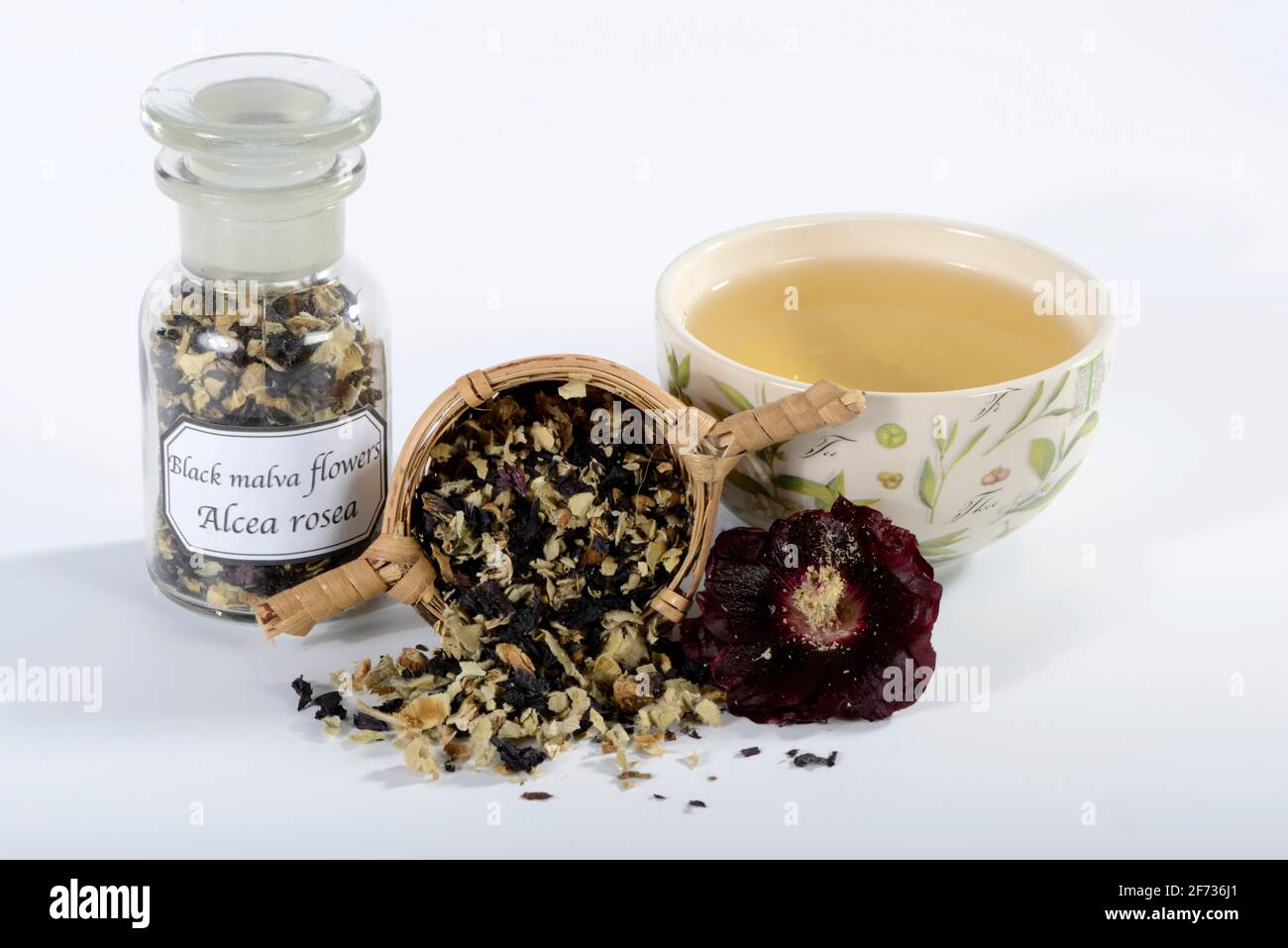 Black hollyhock, cup of hollyhock tea (Alcea rosea nigra), tea strainer Stock Photo