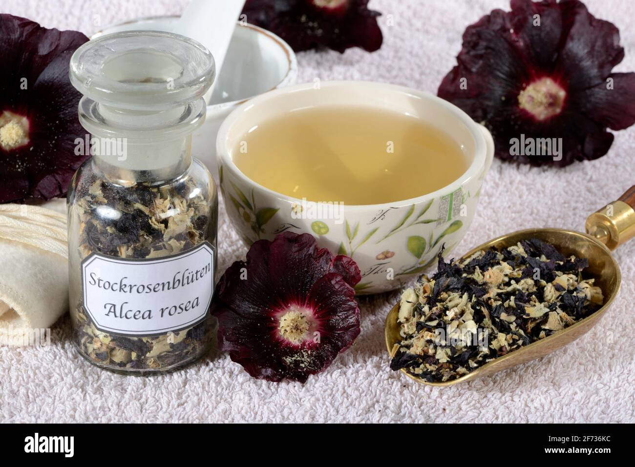 Black hollyhock, cup of hollyhock tea (Alcea rosea nigra) Stock Photo