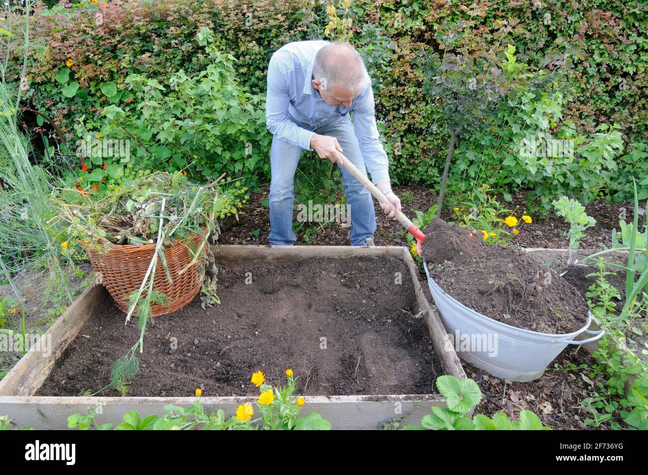 Organic garden, creation of raised beds, composting Stock Photo Alamy